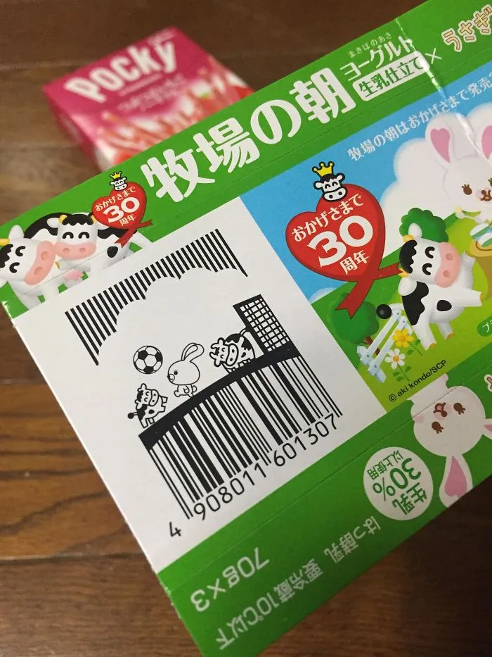 Japanese Yogurt