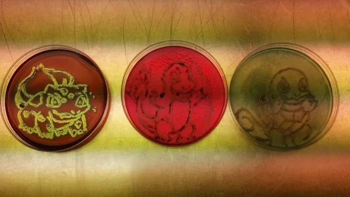 Was Bored At Work, Decided To Draw The Kanto Starters...using Bacteria