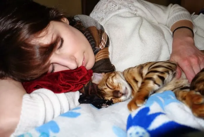 Mi Mujer No Quería Gatos. Incluso Después De Coger A Nuestros Gatos De Bengala, Decía Que Le Gustaban "Sin Más". Yo Le He Estado Diciendo Que Mentía, Y Finalmente Tengo Pruebas