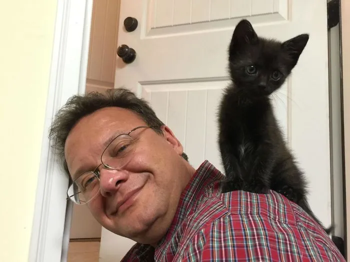 Al Padre De Mi Novia No Le Gustan Los Gatos, O Eso Dice. Mirad Quién Se Lo Ha Ganado
