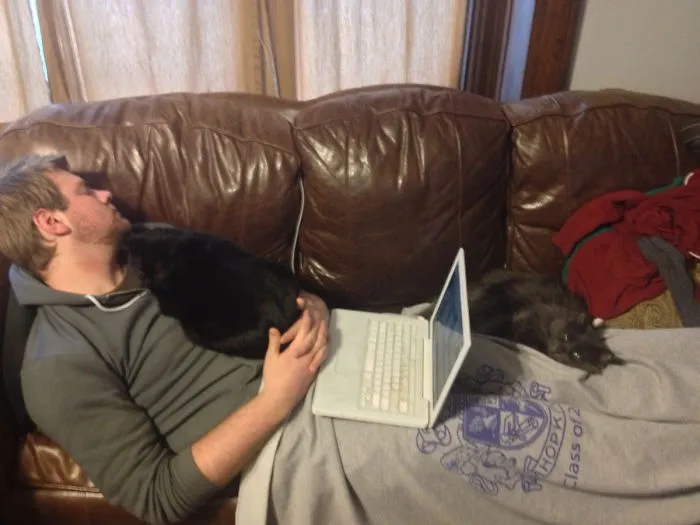 Y Mi Novio Decía Que No Quería Otro Gato