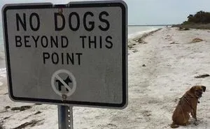 30 Badass Animals Who Don’t Care About Your Stupid Rules