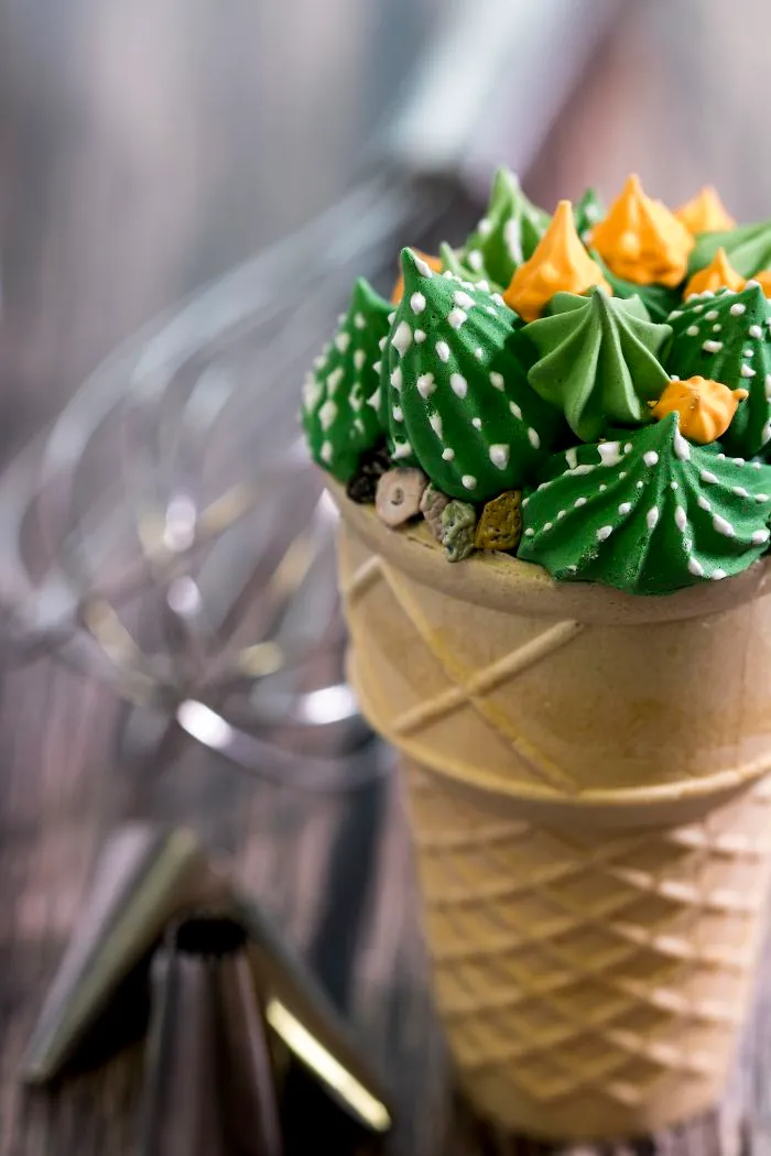 Meringue Cactus