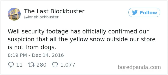 The Last Blockbuster Is Alive, And Here's 189 Of Their Funniest Tweets