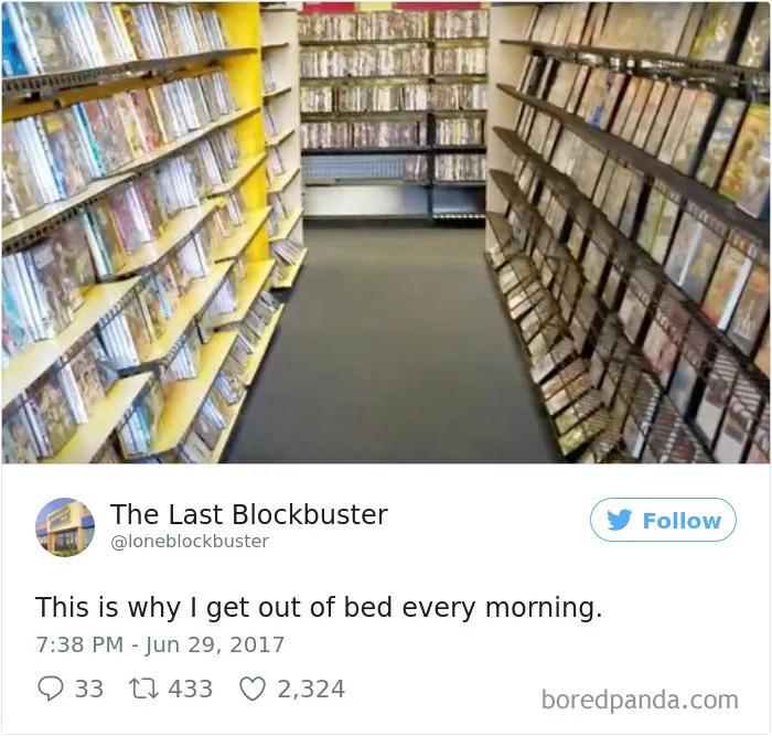 The Last Blockbuster Is Alive, And Here's 189 Of Their Funniest Tweets