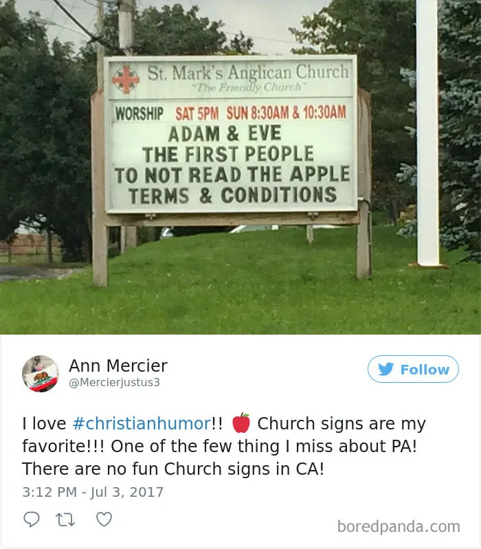 Terms & Conditions