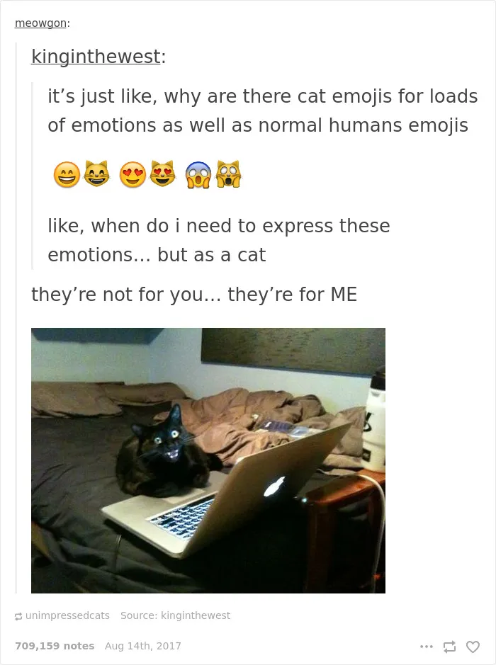 136 Cat Posts On Tumblr That Are Impossible Not To Laugh At