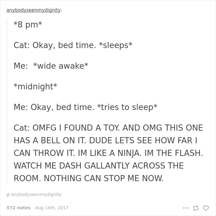 136 Cat Posts On Tumblr That Are Impossible Not To Laugh At