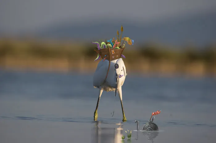 We Combine Illustration And Photography To Reveal The Secret Stories Of Wild Animals
