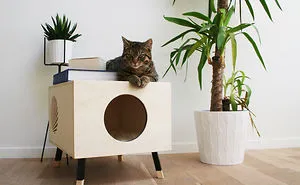 We Thought About Cat Furniture That Won't Cramp Your Home Interior