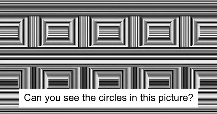 There Are 16 Circles In This Image, And Most People Can't Find Them Right Away