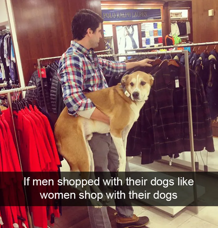 142 Hilarious Dog Snapchats That Are Impawsible Not To Laugh At (Part 3)