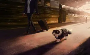 Artist Shows In Illustrations The Adventures Of A Journey Of A Kitten