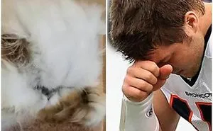 "Channeling" With Mr. Duff Mclovin Meowgi