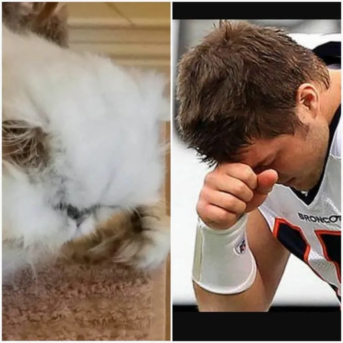 "Channeling" With Mr. Duff Mclovin Meowgi