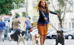 Exercising Your Dog: How To Do It Right And What Is Its Importance