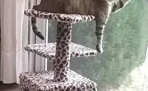 Donny Enjoying The Sun