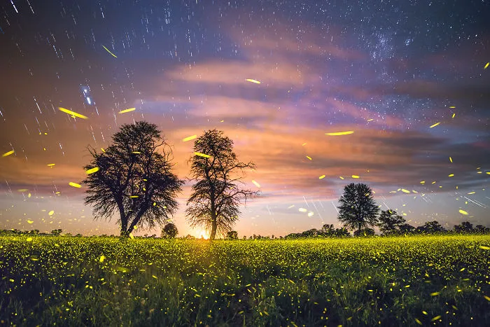 Brushtroke Of Light ©2016 Brandon C. Giesbrecht