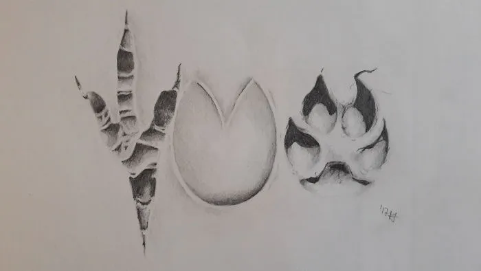 My Symbolic Interpretations Of My Favorite Myths Of Greek Mythology
