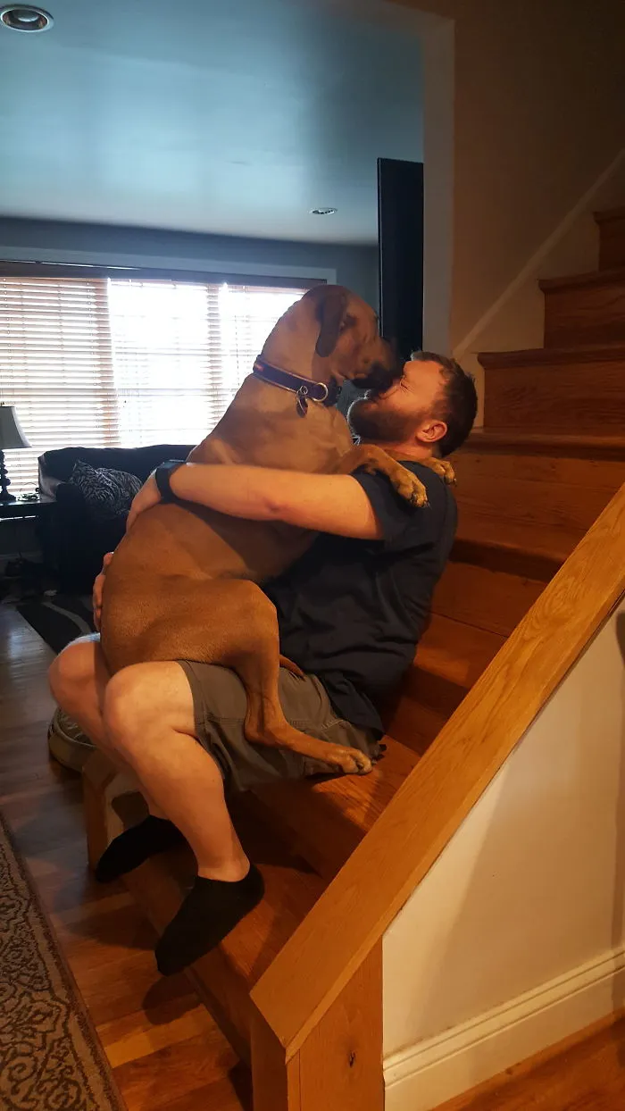 100 Lbs Of Lap Dog.