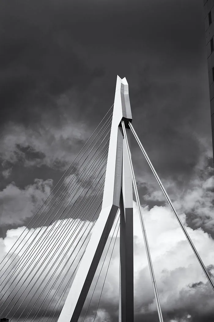 A Glimpse Of Rotterdam