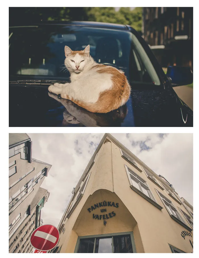 I Travel Around The Cities, Take Photos And Then Make Duplets