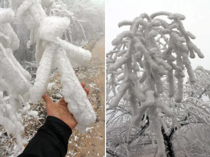 Anyone Who Sees This Rare Eerie Looking Fog In Real Life Should Run Away Fast