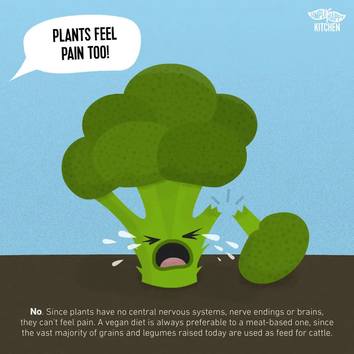 35 Illustrations That Will Change Your Mind About Veganism