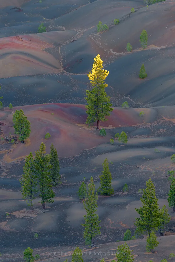55 Photos Of Lassen Volcanic National Park That Look Like They're Taken At Another Planet