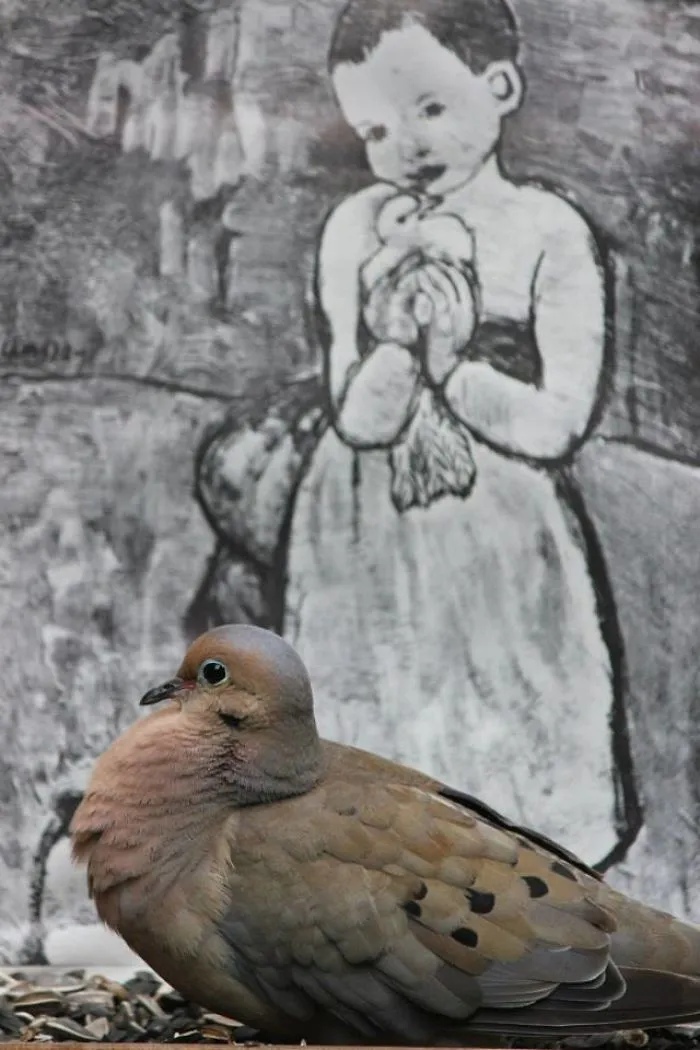 Artist Changes The Backdrop Of Her Birdhouse To Transform The Narrative Of How We View Art.