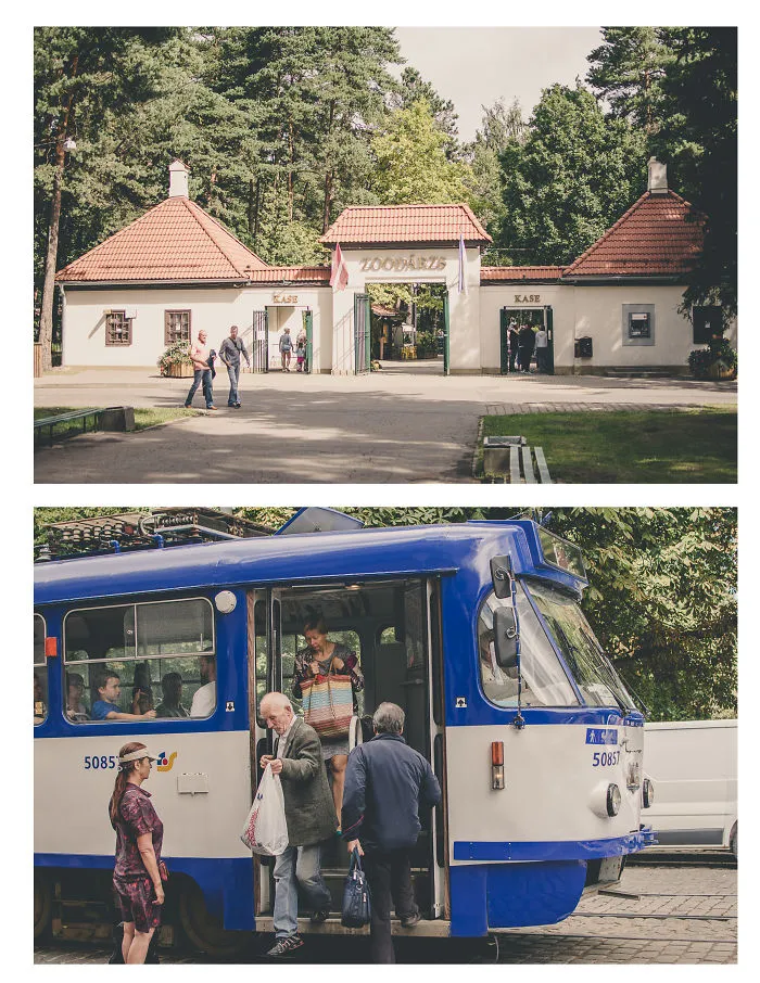 I Travel Around The Cities, Take Photos And Then Make Duplets