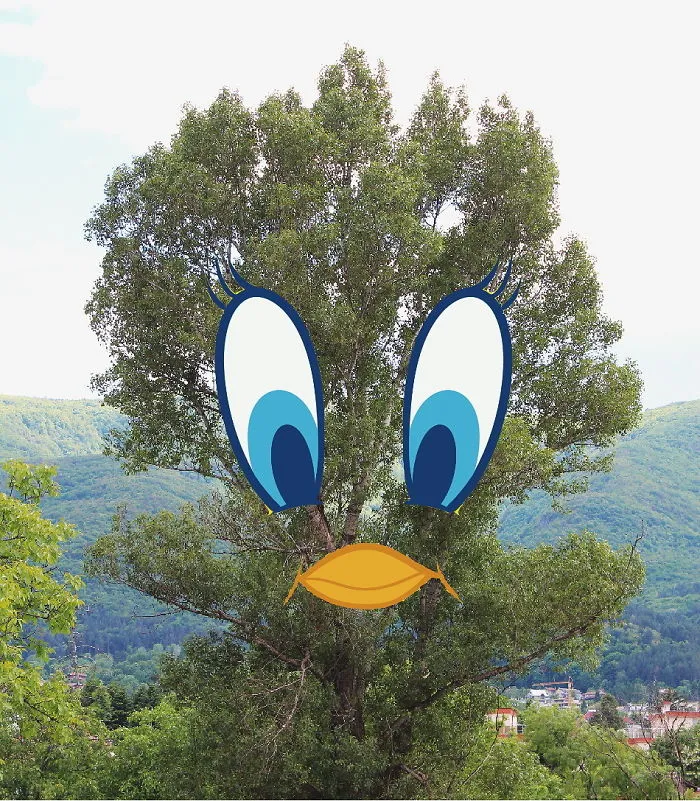 Tweety