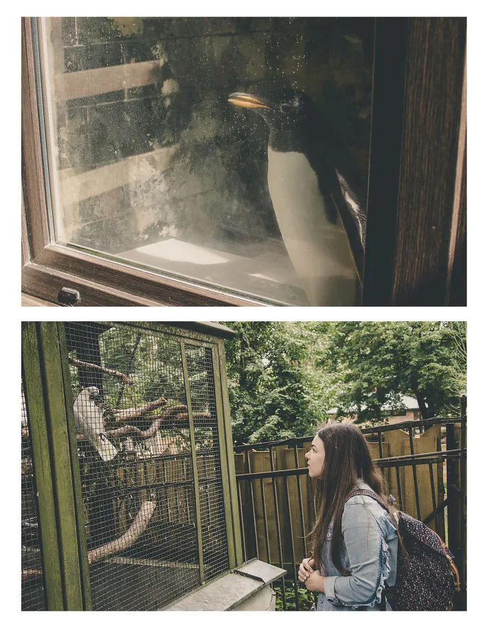 I Travel Around The Cities, Take Photos And Then Make Duplets