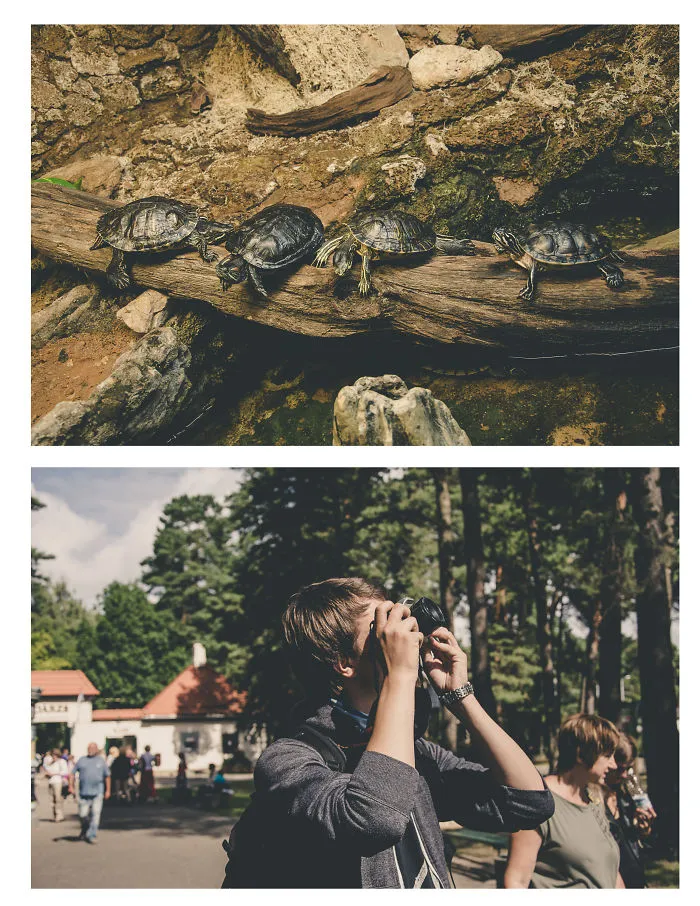 I Travel Around The Cities, Take Photos And Then Make Duplets