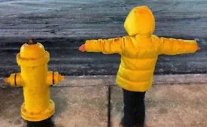 30 Times Things Matched Their Surroundings Too Well
