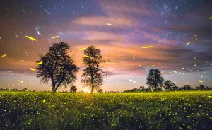 Photo Nightscape Awards