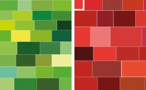 I Made Poster From Dominant Color Of Each Image Of A Google Image Search