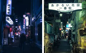 I Wandered The Streets Of Tokyo And Osaka