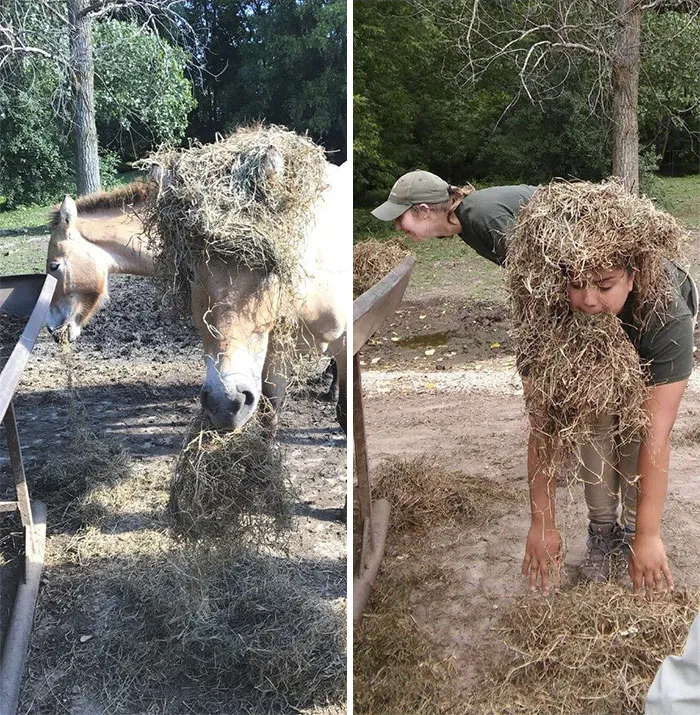 16 Hilarious Pics That Show What Happens When Zookeepers Have Too Much Time On Their Hands