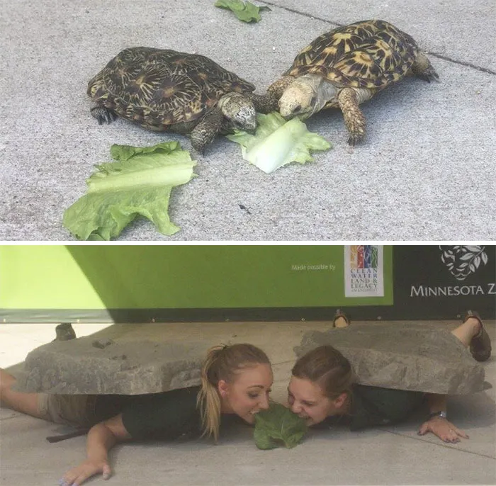 16 Hilarious Pics That Show What Happens When Zookeepers Have Too Much Time On Their Hands