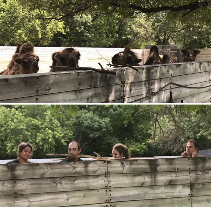 16 Hilarious Pics That Show What Happens When Zookeepers Have Too Much Time On Their Hands