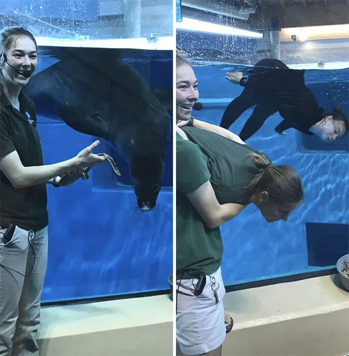 16 Hilarious Pics That Show What Happens When Zookeepers Have Too Much Time On Their Hands