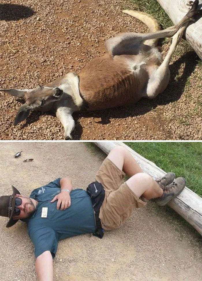 16 Hilarious Pics That Show What Happens When Zookeepers Have Too Much Time On Their Hands
