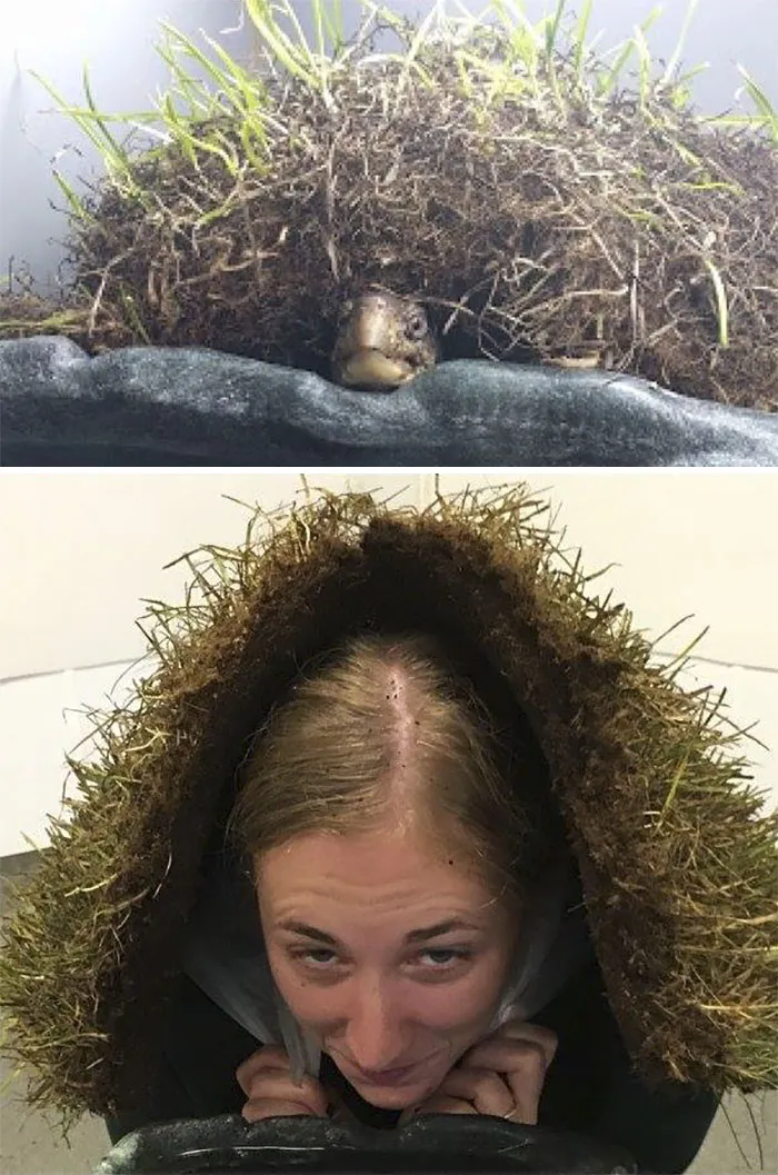 16 Hilarious Pics That Show What Happens When Zookeepers Have Too Much Time On Their Hands