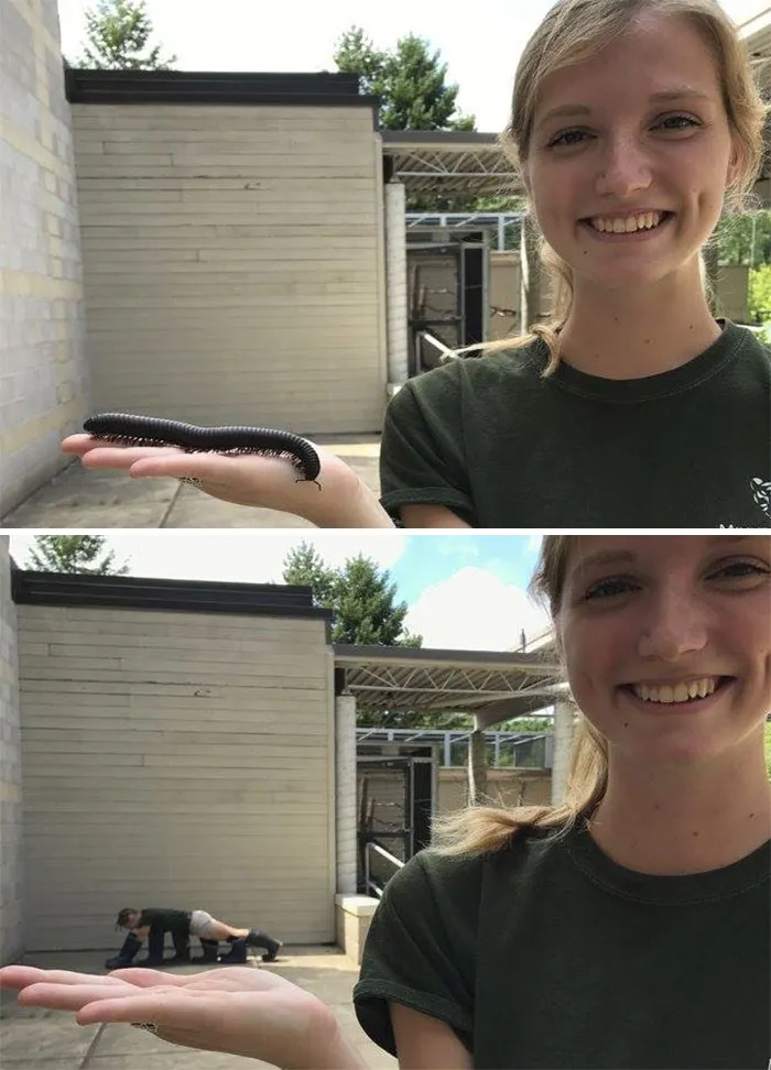 16 Hilarious Pics That Show What Happens When Zookeepers Have Too Much Time On Their Hands