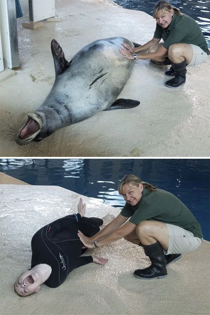 16 Hilarious Pics That Show What Happens When Zookeepers Have Too Much Time On Their Hands