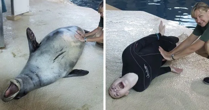 16 Hilarious Pics That Show What Happens When Zookeepers Have Too Much Time On Their Hands
