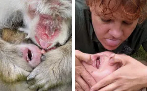 16 Hilarious Pics That Show What Happens When Zookeepers Have Too Much Time On Their Hands