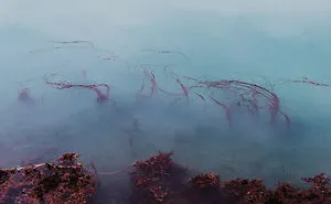 25 Extremely Impressive Patterns Of Iceland