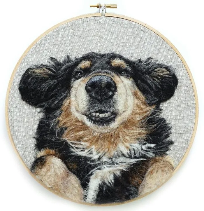 Artist Uses Needle And Wool To "Paint" Realistic Portraits Of Animals